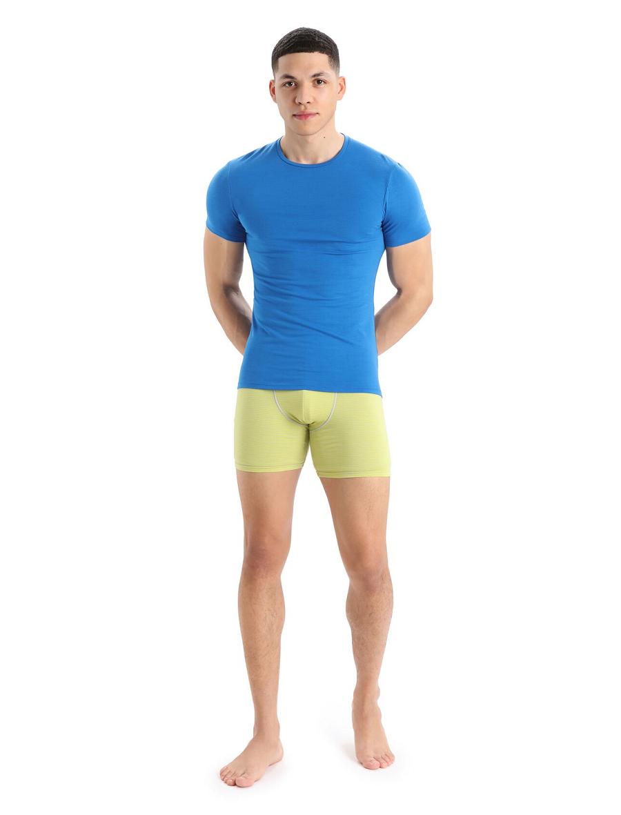 Ether / Shine Icebreaker Merino Anatomica Long Boxers Men's Underwear | AU 1283UZGT